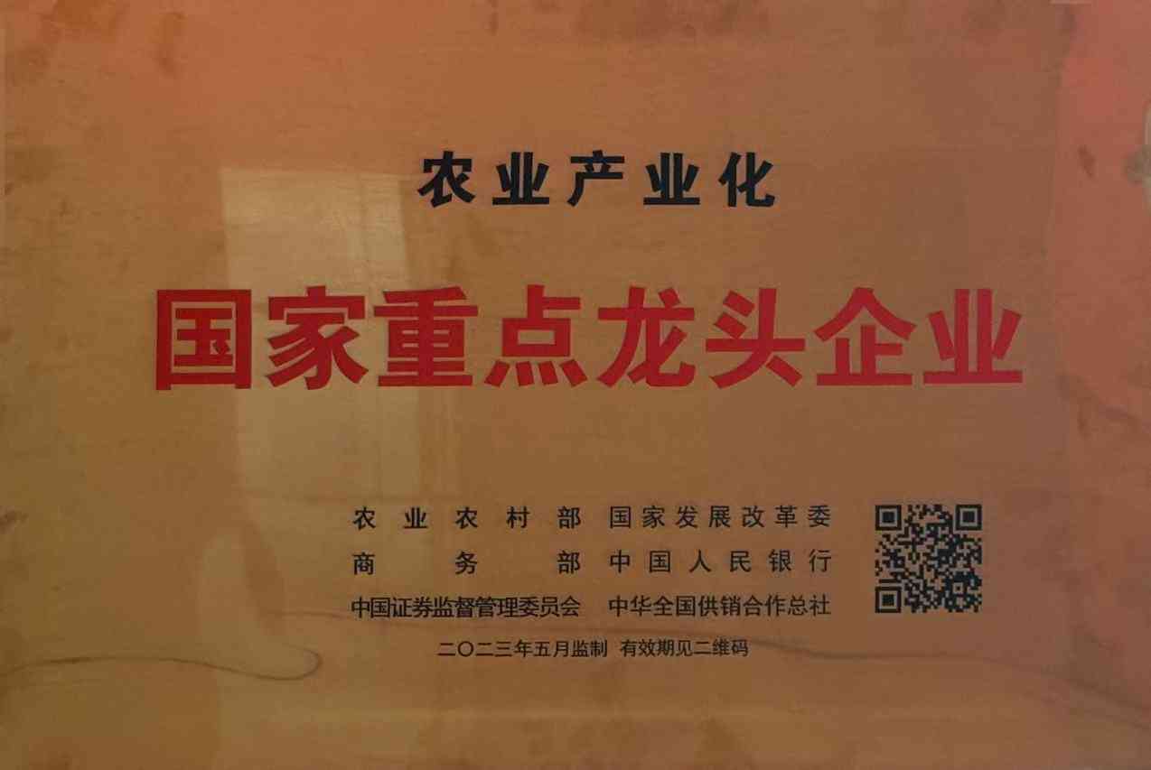 币博286币博286荣誉简介