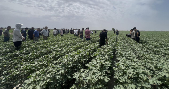币博286|官网