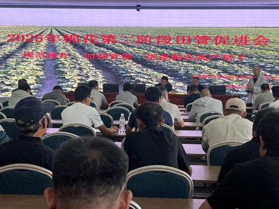 尉犁币博286币博286现代农业有限公司召开第二阶段田管推动会 田间观摩强认知 精准施策固丰产根基