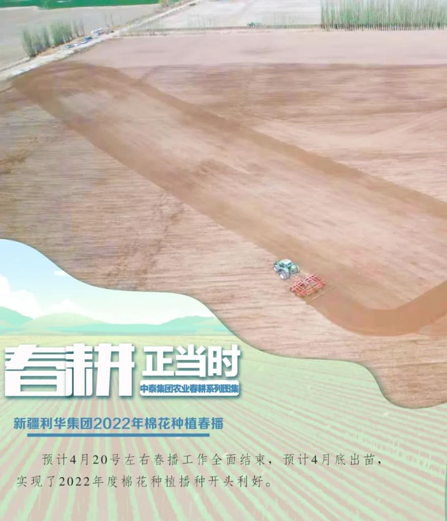 币博286|官网