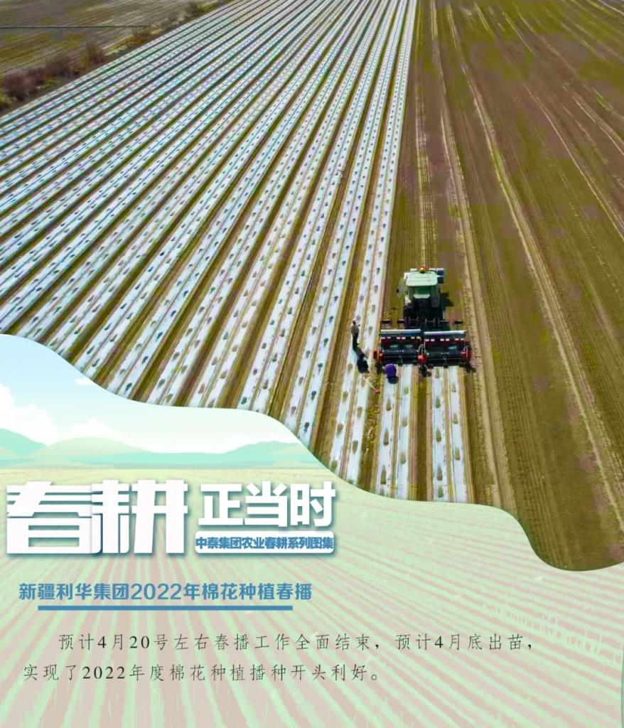币博286|官网